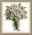 Barnegat Flowers, 887 W Bay Ave, Barnegat, NJ 08005, (609)_698-3555